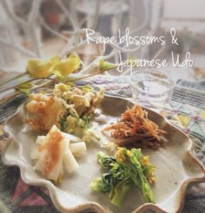 春の献立　発酵　札幌