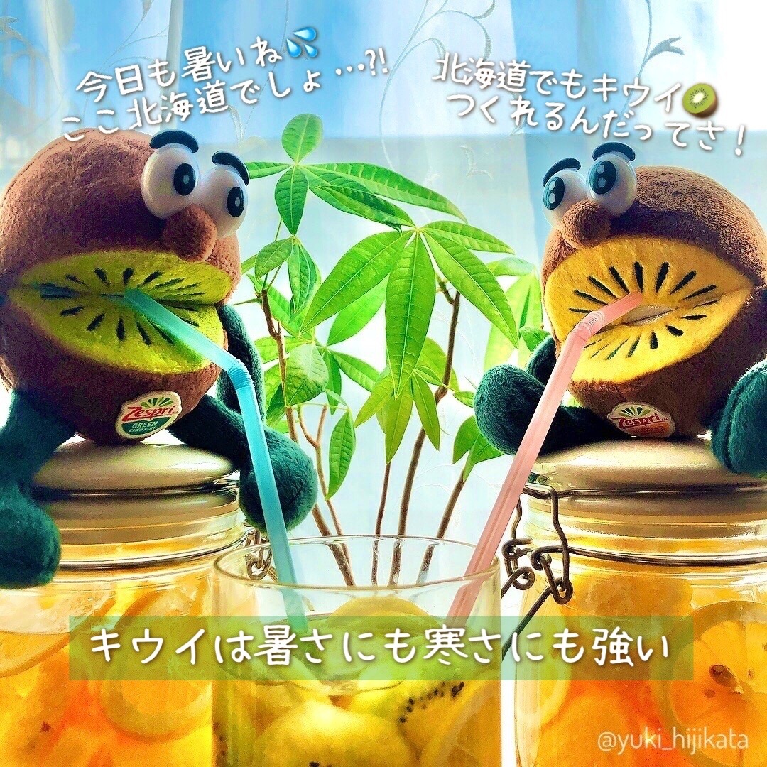 キウイブラザーズ　フルーツビネガー　果実酢　発酵　札幌　土方夕暉