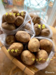 potato-biei-hokkaido-hacco-hijikatayuki-sapporo