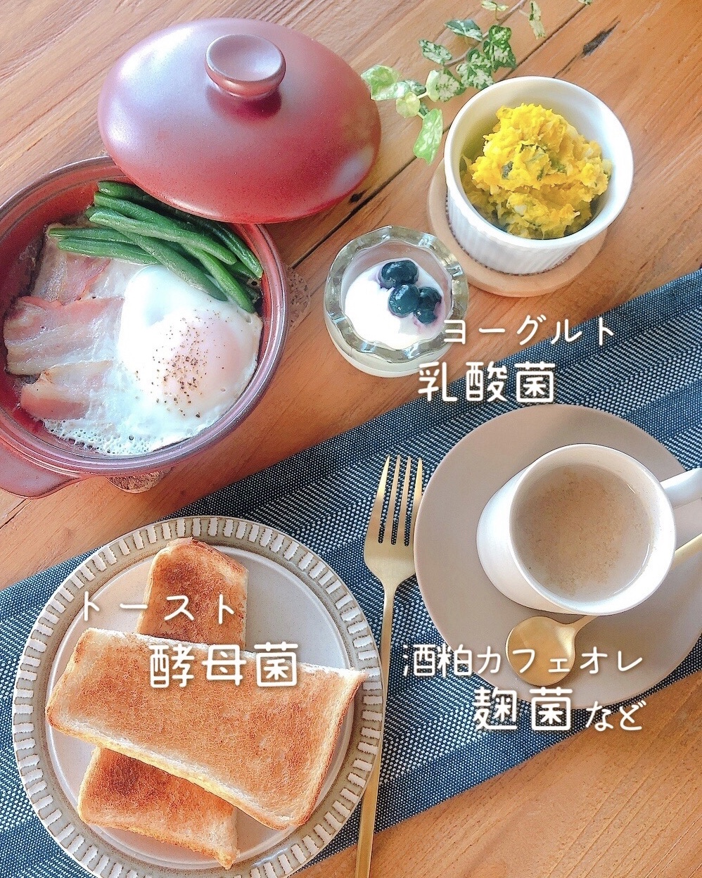 朝食　発酵　札幌　土方夕暉