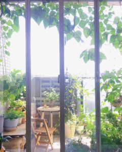 夏のベランダ 札幌 土方夕暉