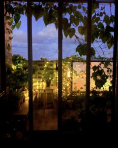 夏の夜 札幌 土方夕暉