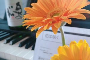 花は咲く　ピアノ　札幌　土方夕暉